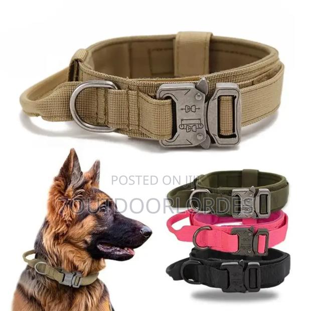 Dog Collars Tactical - thumbnail 4