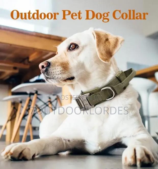 Dog Collars Tactical - thumbnail 5