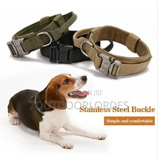 Dog Collars Tactical - thumbnail 6
