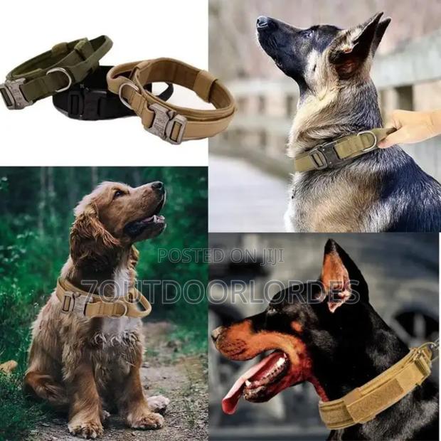 Dog Collars Tactical - thumbnail 3