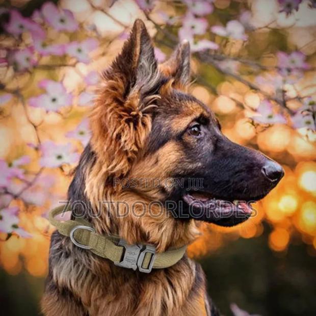 Dog Collars Tactical - thumbnail 7