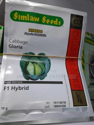 Gloria F1 Hybrid Cabbage 10G - thumbnail 2