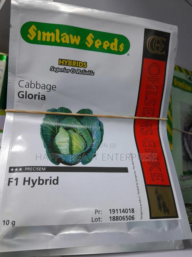 Gloria F1 Hybrid Cabbage 10G