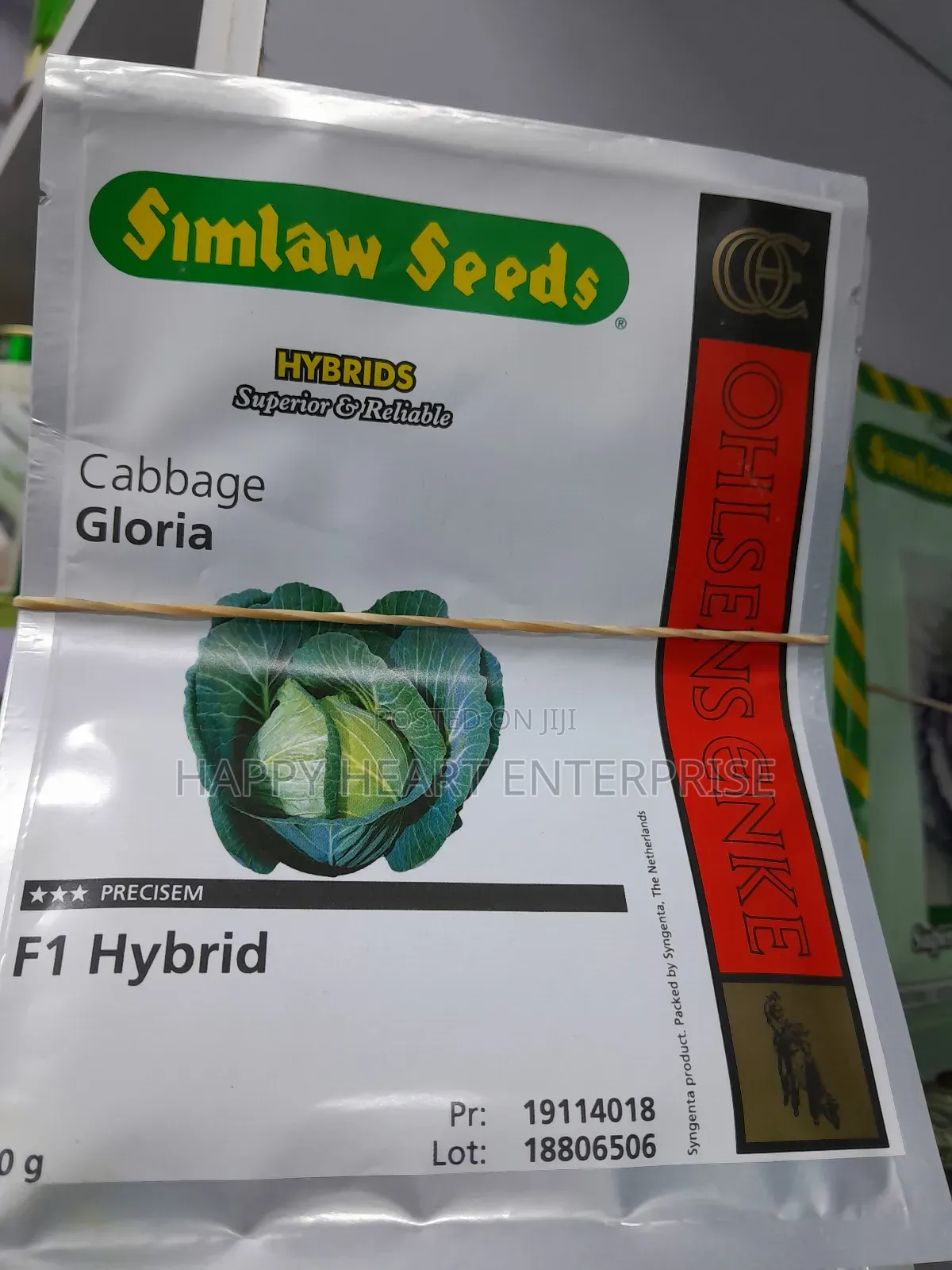 Gloria F1 Hybrid Cabbage 10G