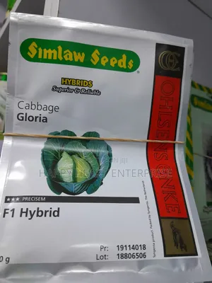 Gloria F1 Hybrid Cabbage 10G