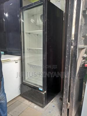 Display Fridge 400l - main view