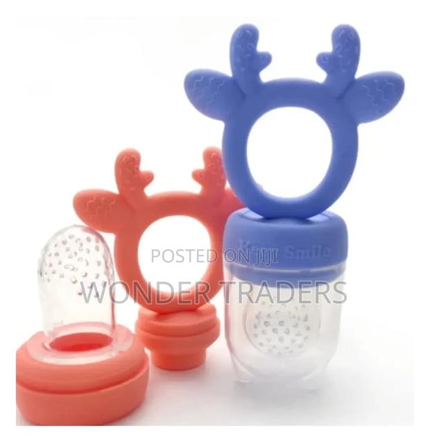 Fruit Pacifier (Doubles Up as a Teether ) - main view
