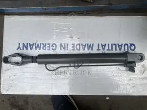 99100820028 Cabin Lift Cylinder/Cabin Tilt Cylinder Styre
