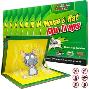 Rat Traps 6 Piece's Rat Traps