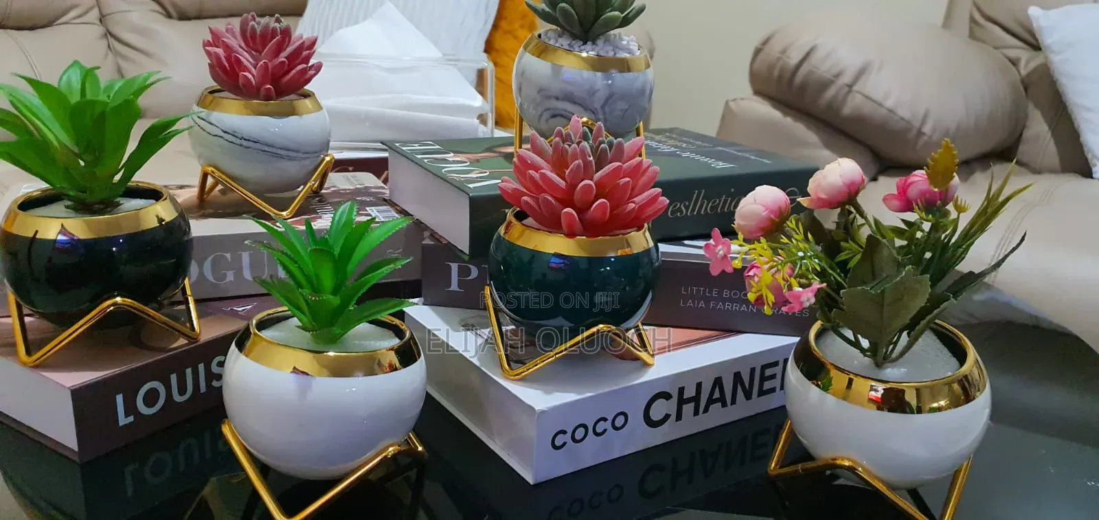 Simple Creative Succulent Planter Flower Pot