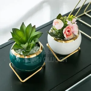 Simple Creative Succulent Planter Flower Pot