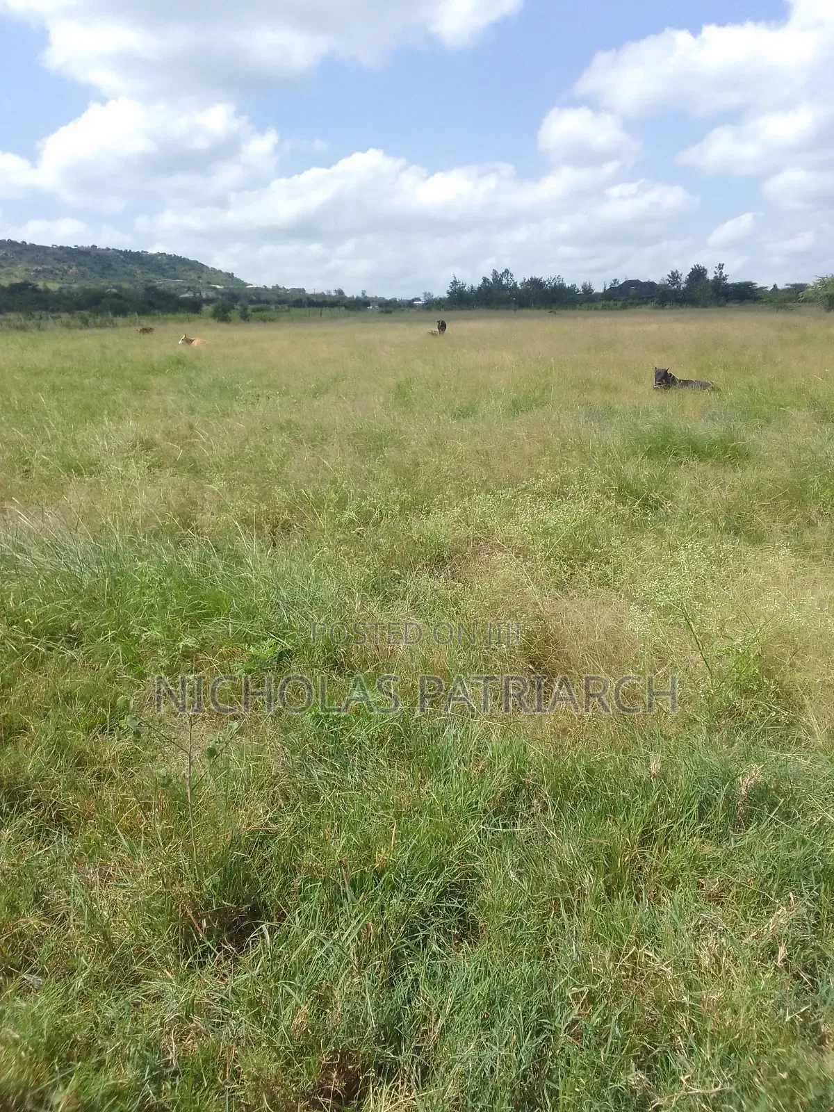 4000 Acres Lukenya Stoni Athi at 7.5m.Per Acre