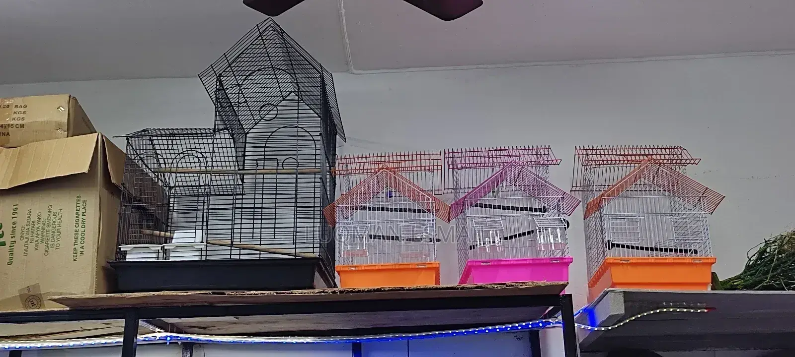 Big Cages For Kasuku
