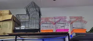 Big Cages For Kasuku