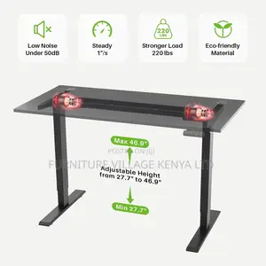 Height Adjustable 48 X 24 Inches Electric Lift Standing Desk