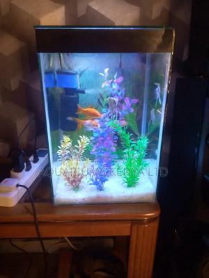 Colourful Mini-Tower Aquarium . - thumbnail 2