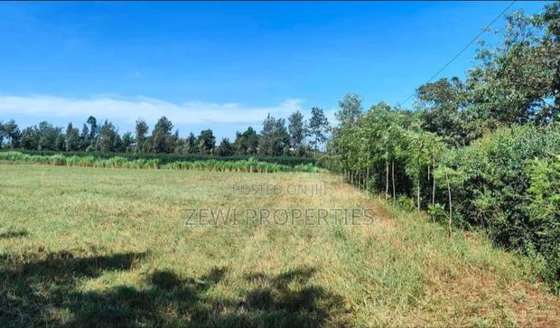 3 Acres Kibiko - thumbnail 2