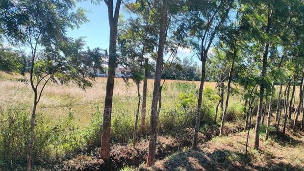 3 Acres Kibiko - thumbnail 3