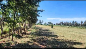 3 Acres Kibiko