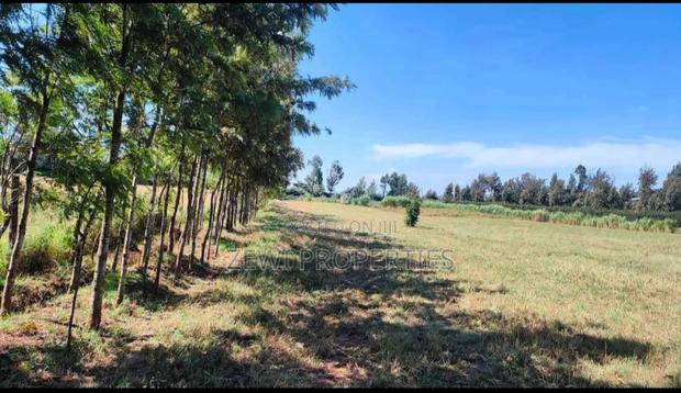 3 Acres Kibiko - thumbnail 4