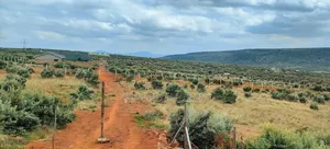 50*100 Ngong-Kimuka