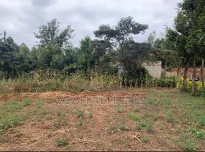 1/8 Kibiko-Ngong - thumbnail 2