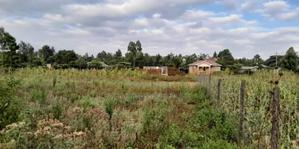 1/4 Acre Kibiko-Ngong - thumbnail 2