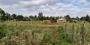 1/4 Acre Kibiko-Ngong