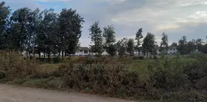 1/4 Acre Kibiko-Ngong