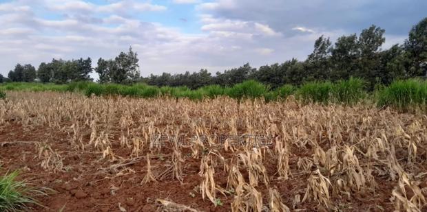 1/4 Acre Kibiko-Ngong - thumbnail 5