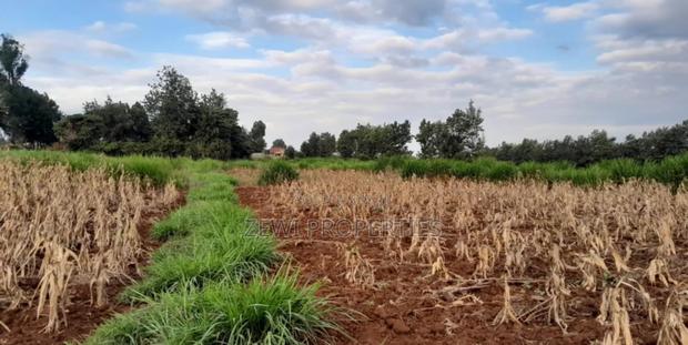 1/4 Acre Kibiko-Ngong - thumbnail 6
