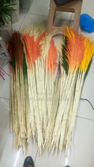 Pampas Grass Available in Plenty