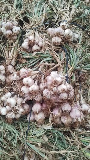 Fresh Garlic - thumbnail 2