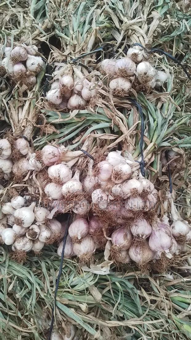 Fresh Garlic - main view