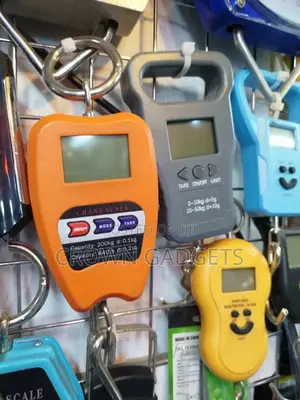 200 Kg Crane Scale With High Precision