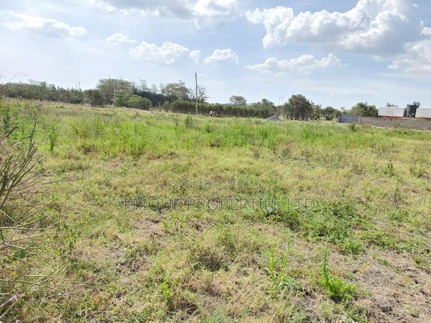 Ruai 1/4 Plot for Sale Along Eastern Bypass for Sale - thumbnail 4