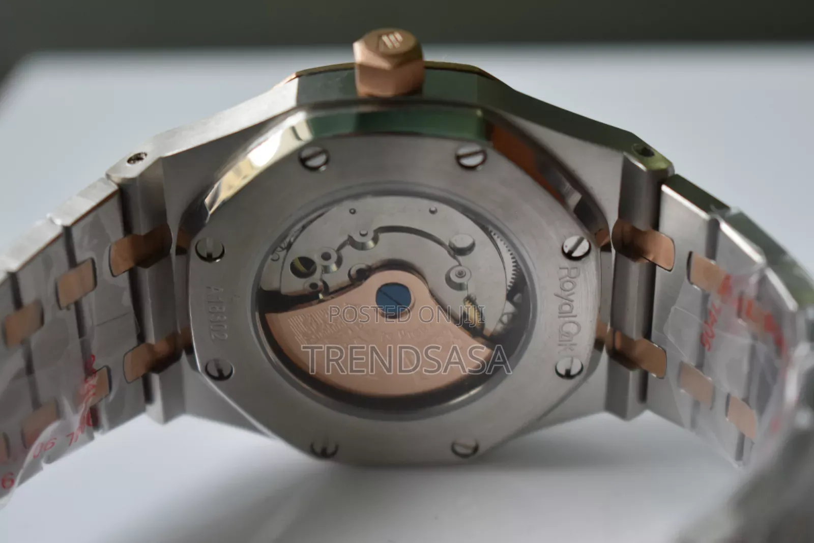Audemars Piguet Two Tone Watch