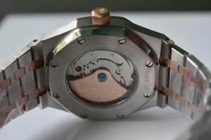 Audemars Piguet Two Tone Watch