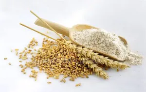 Hydrolyzed Wheat Protein