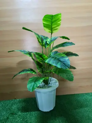 Aartificial Plants With Vase