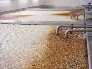 Chachu Wet ( Spent Brewer Wet Yeast)100kg for Pigs Cattle