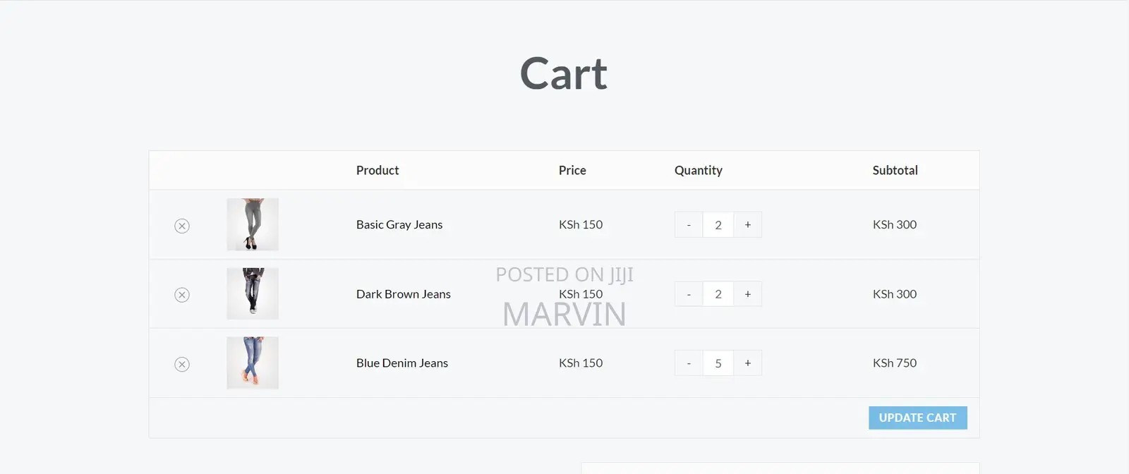 Ecommerce Website Development