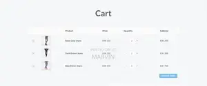 Ecommerce Website Development