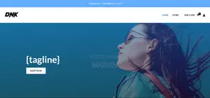 Ecommerce Website Development