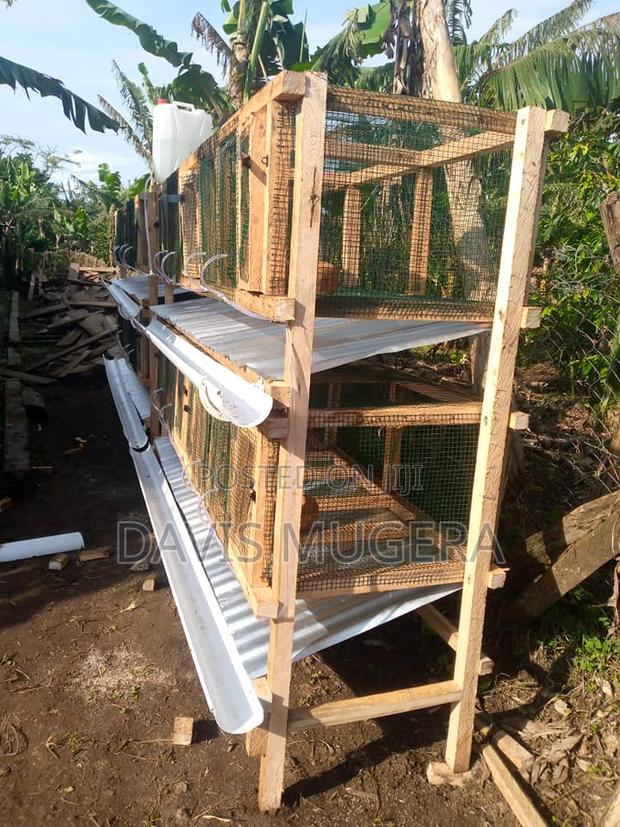 Plastic Coated Wire Mesh for Smart Livestock Farm Structures - thumbnail 4