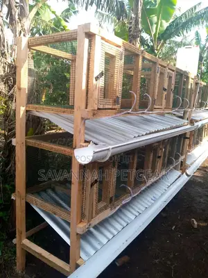 Plastic Coated Wire Mesh for Smart Livestock Farm Structures