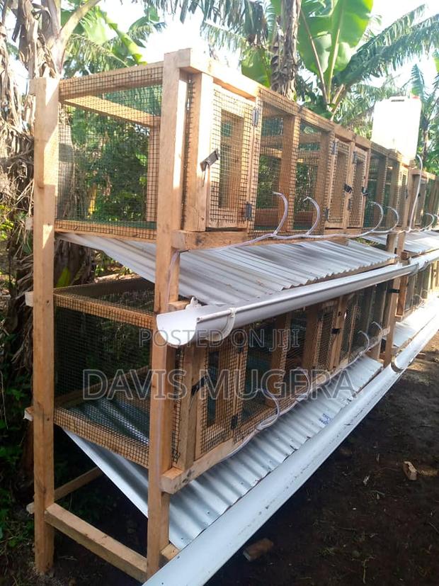 Plastic Coated Wire Mesh for Smart Livestock Farm Structures - thumbnail 3