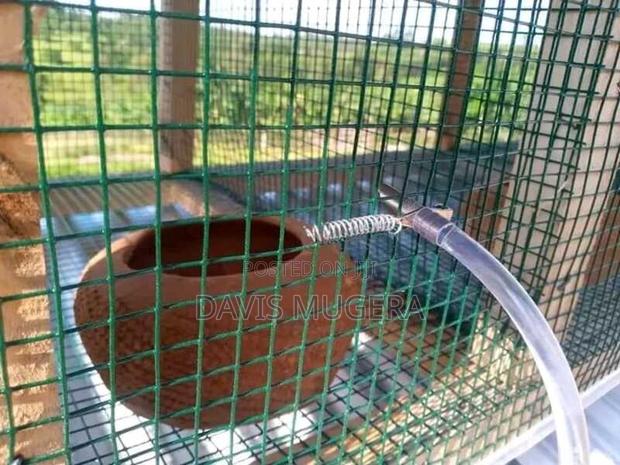 Plastic Coated Wire Mesh for Smart Livestock Farm Structures - main view