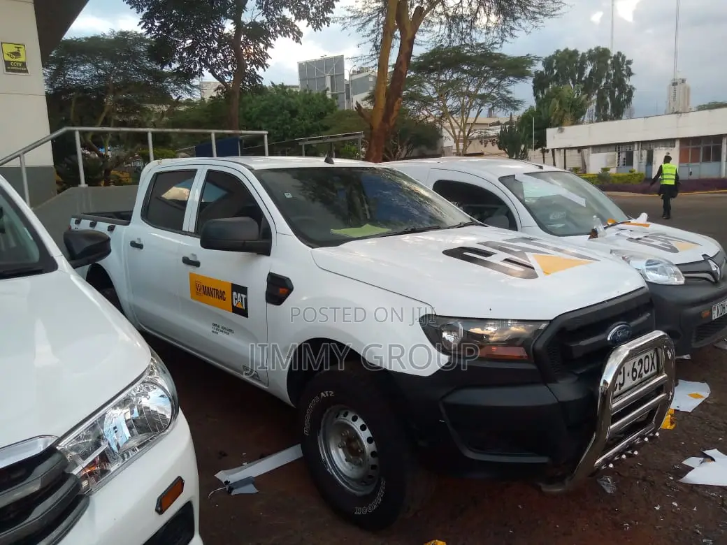 Cat Pick Up Sticker Branding