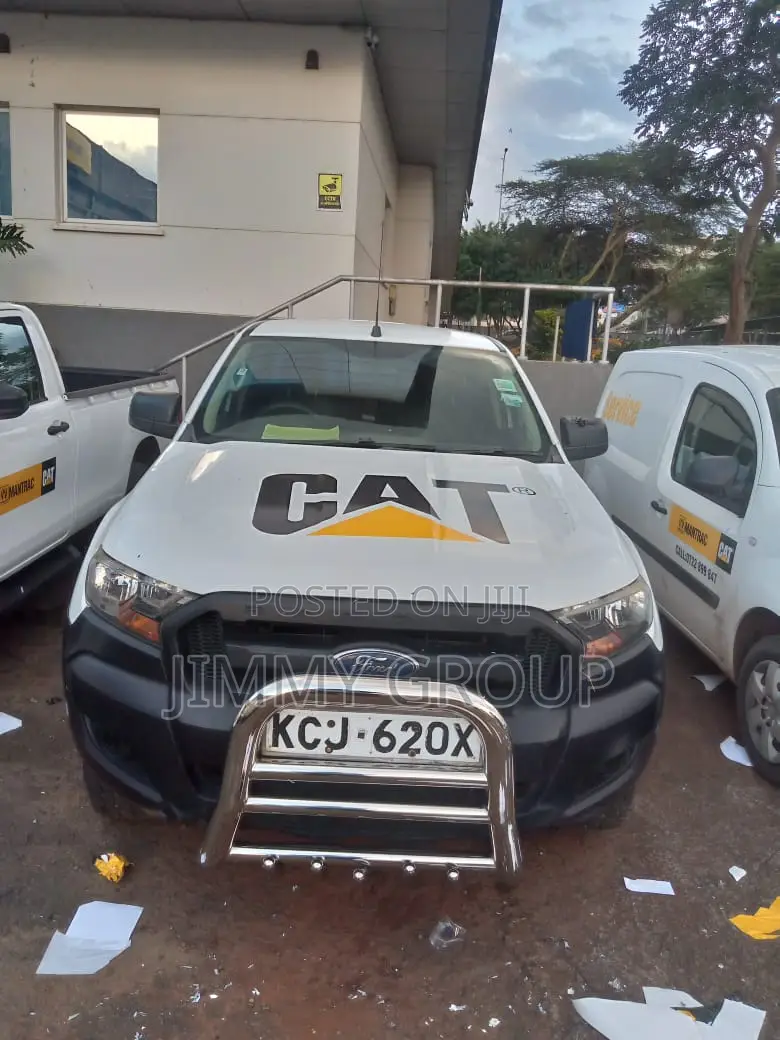 Cat Pick Up Sticker Branding